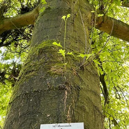 Huize Hertog Met Whirlpool Apeldoorn