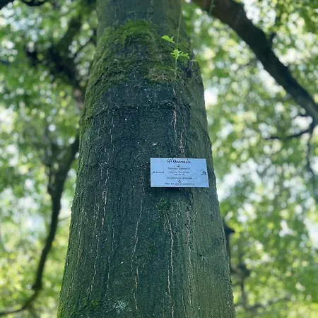 Huize Hertog Met Whirlpool Frühstückspension Apeldoorn