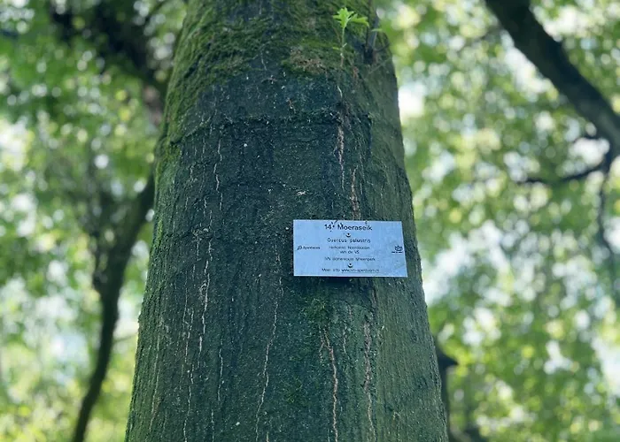 Huize Hertog Met Whirlpool Bed & Breakfast Apeldoorn